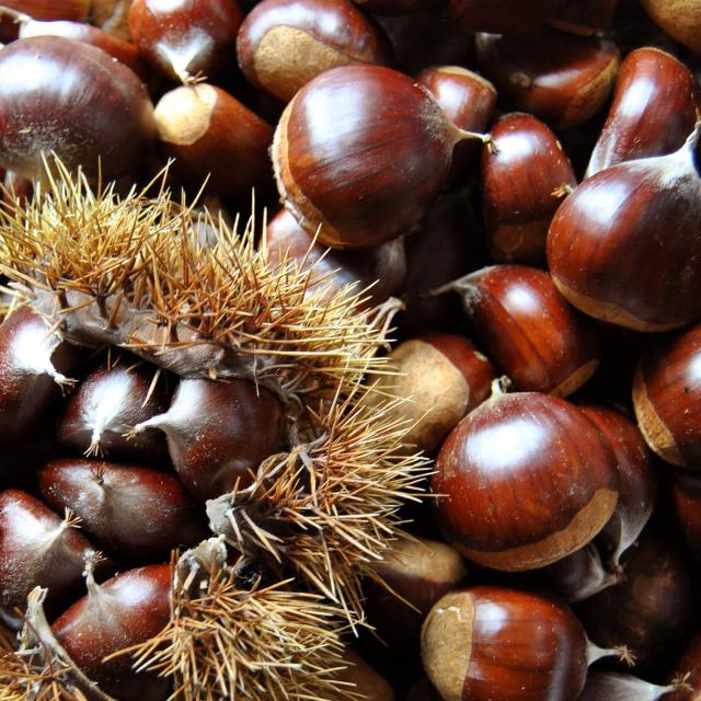 Fêtes des châtaignes