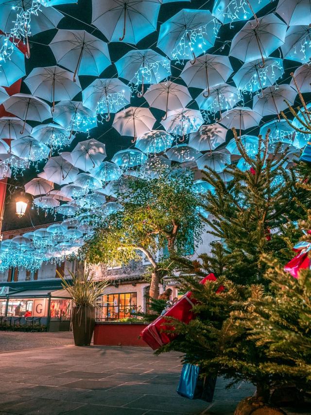 319643446 1068270680680407 6461579524902780989 N