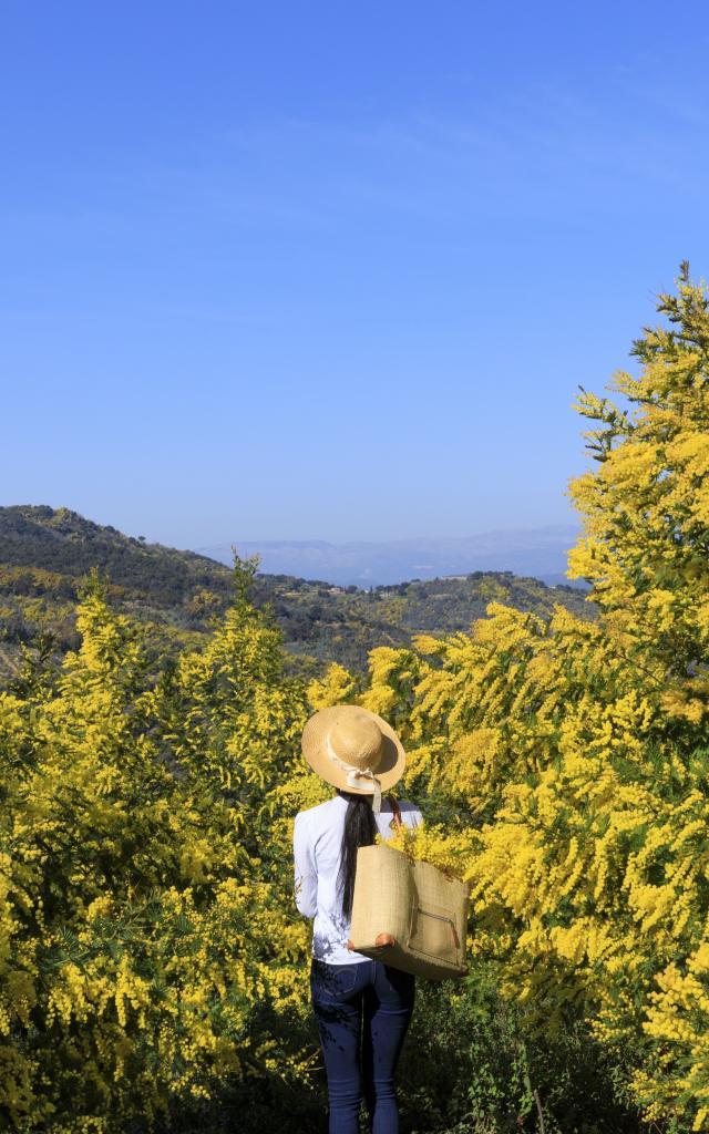 Route Mimosa Weekend hiver