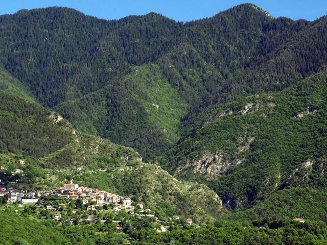 Cover Georges Veran Recized