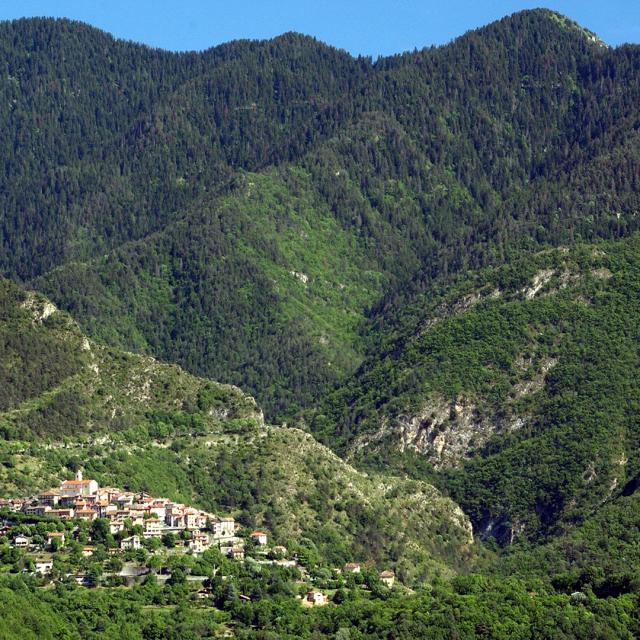 Cover Georges Veran Recized