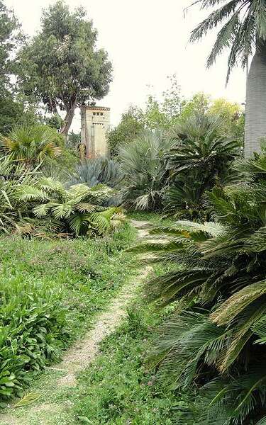Jardin botanique Villa Thuret