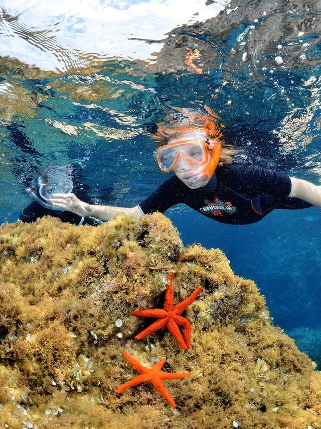 Randonnée palmée - La Rague