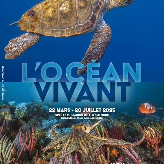L'océan vivant