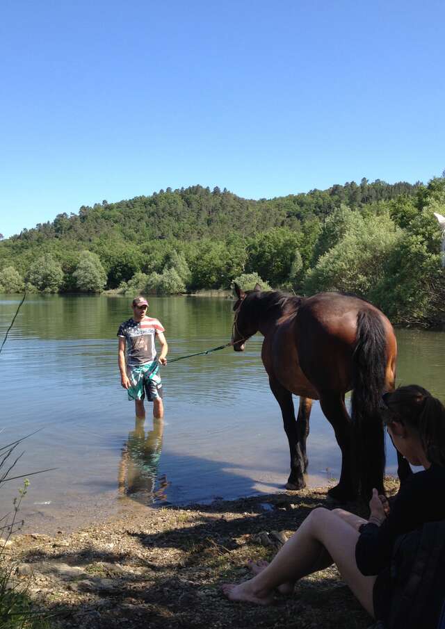 Le ranch du Lac de Saint-Cassien: Balades équestres