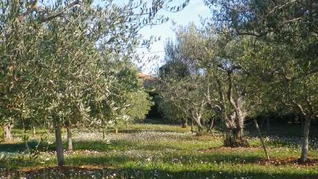Visite de la passion - rouages du MOULIN