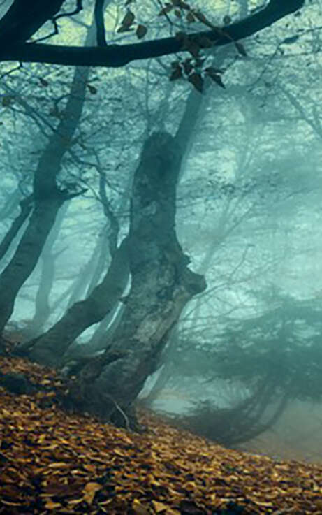 Festival of Tales and Legends