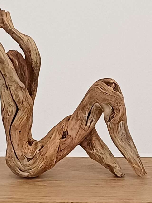 Exposition sculpture et peinture - Cam' et Florence Gillot