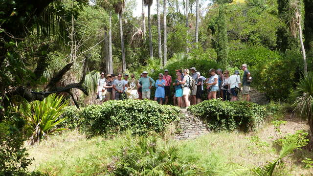 Visite commentée quotidienne du Jardin