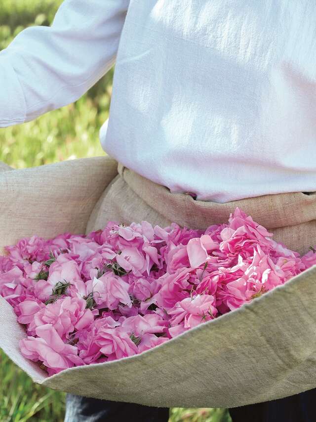De la fleur à l’atelier : Une expérience parfum signée Fragonard et Pure Signature