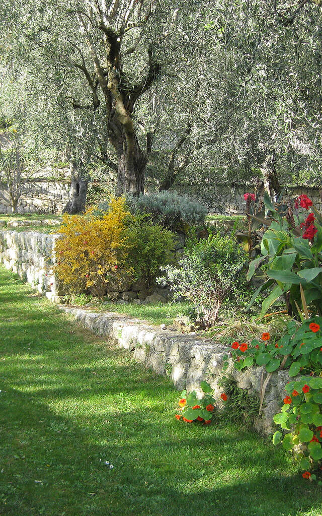 The Mouissone estate