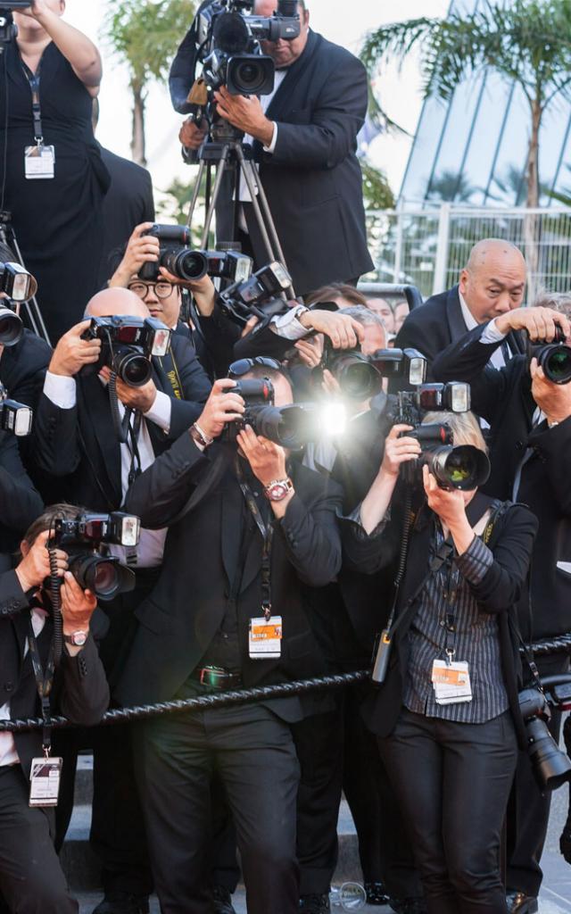 landing-fest-cannes-2015palais-herve-fabre-1920x1080-1.jpg